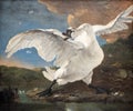 The threatened swan, painting by Jan Asselijn